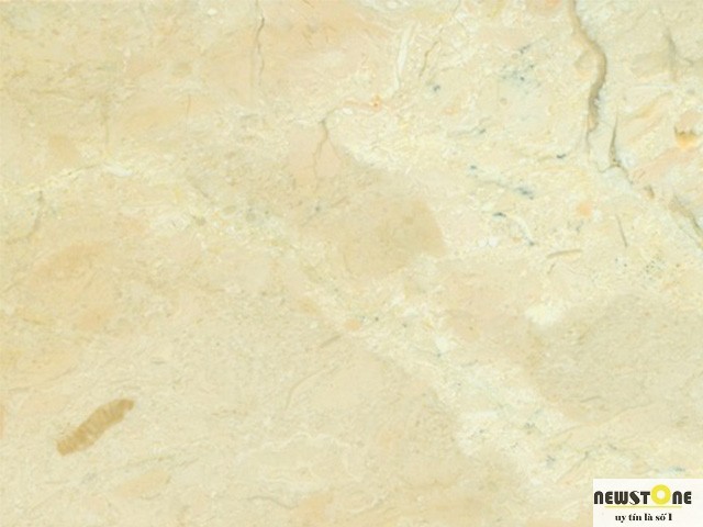 Đá Marble Jania Cream