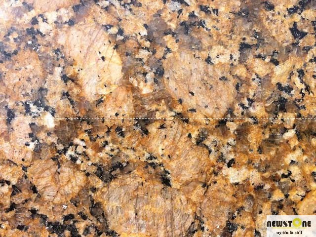 Đá hoa cương tự nhiên Granite Yellow Safia