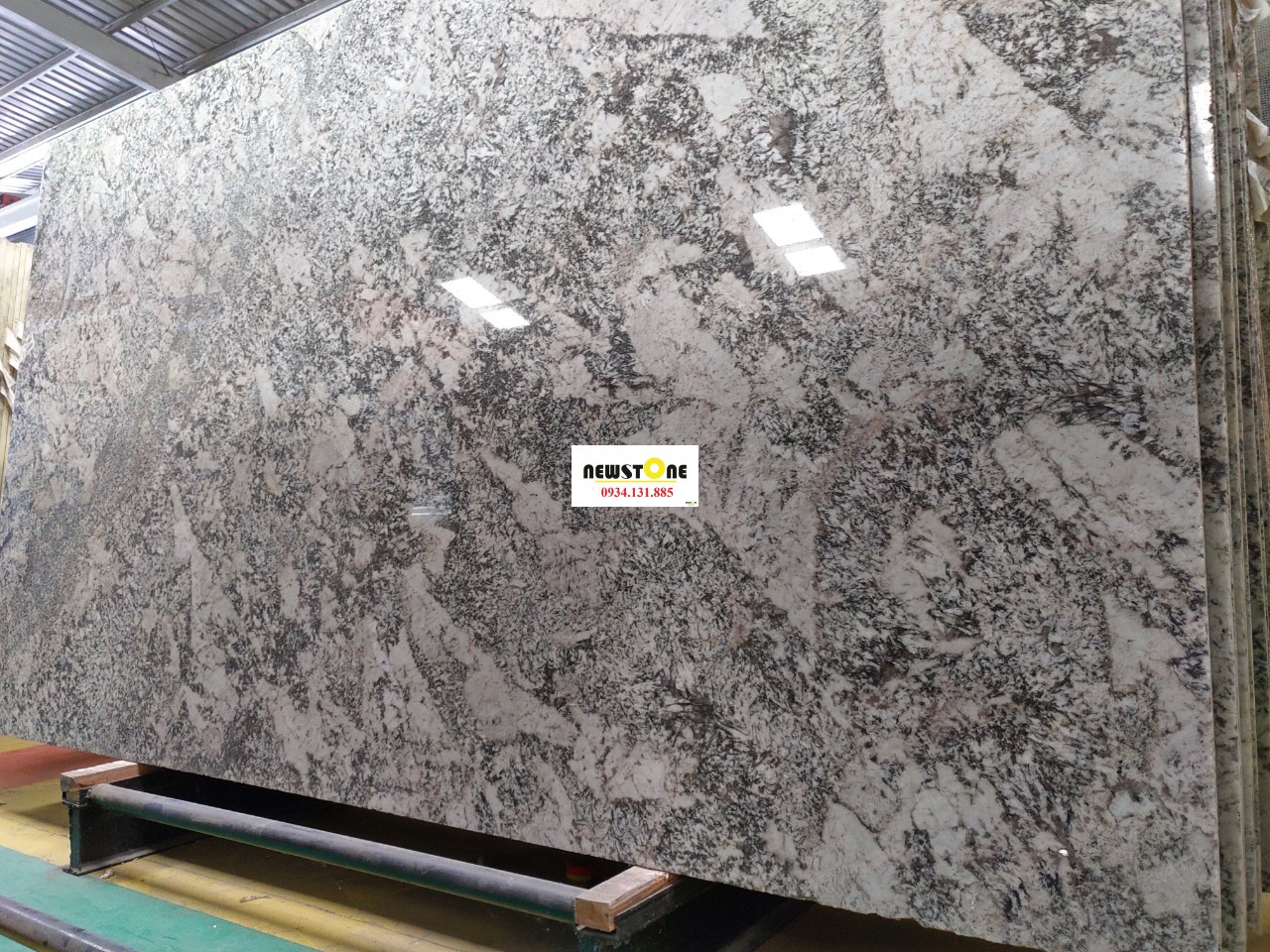 Granite Bianco Antico (5)