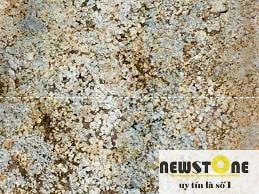 Đá hoa cương Granite Colombia Persa