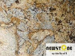 Đá hoa cương Granite Golden Forest Brazil